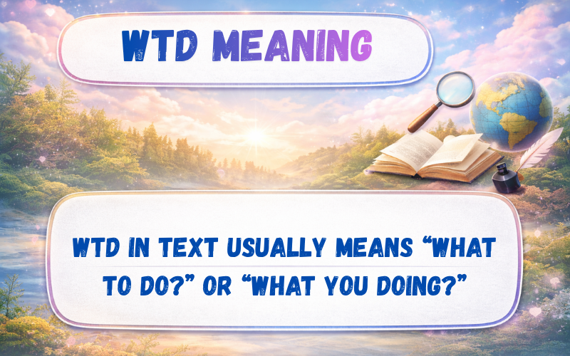WTD Meaning