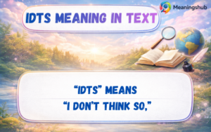 IDTS Meaning in Text