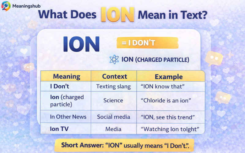 ION Meaning in Text