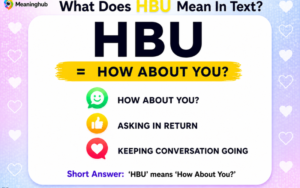 WDYM Meaning in Text