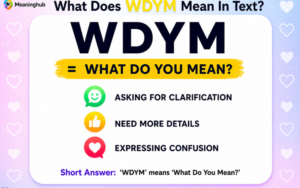 WDYM Meaning in Text