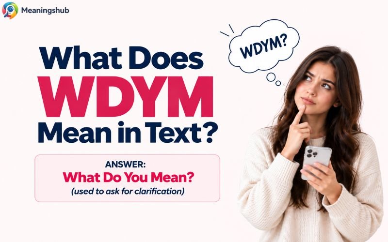 WDYM Meaning in Text