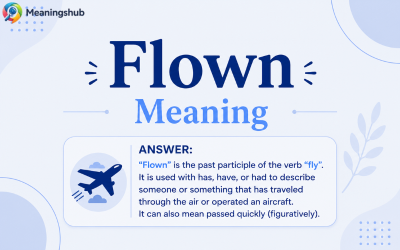 Flown Meaning