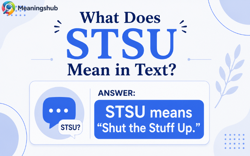 STSU Meaning in Text