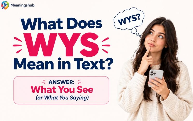 WYS Meaning in Text
