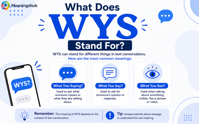 What does WYS stand for infographic