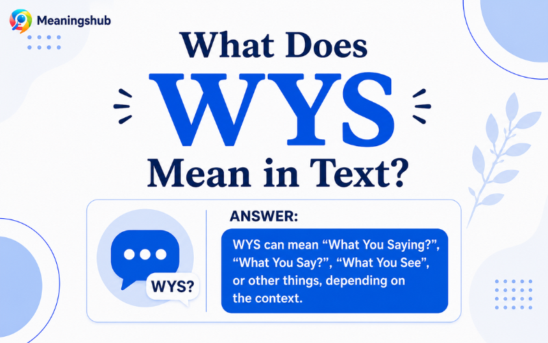 WYS meaning in text infographic